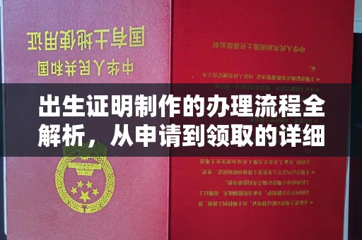 白玉出生证明制作的办理流程全解析，从申请到领取的详细指南